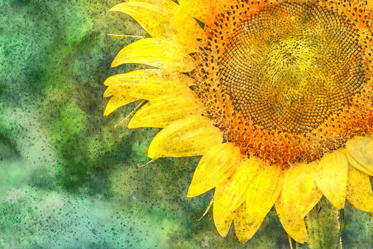Watercolor close up of a huge sunflower with copy space