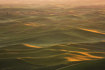 Hazy morning over the hills of Palouse