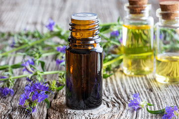 A bottle of hyssop essential oil with fresh blooming hyssop