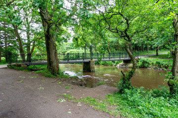 A Forrest Walk over a Scottish Footbridge.