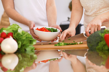 Closeup of human hands cooking in kitchen. Mother and daughter or two female friends cutting vegetables for fresh salad. Healthy meal, vegetarian food and lifestyle concepts
