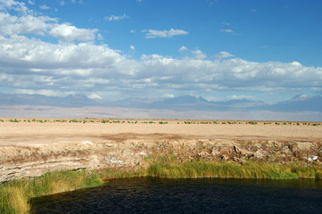 Ojos del Salar - 2