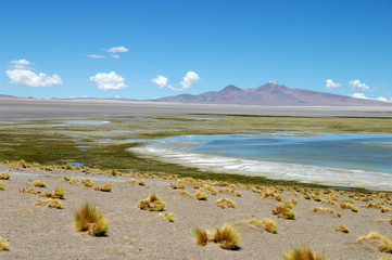 Salar de Tara