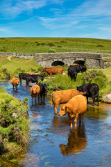 Dartmoor, Devon, England