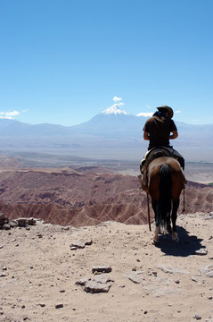 Cavalier face au volcan Licancabur