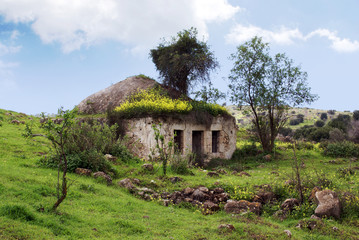 Neglected house