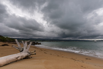 Driftwood log on Moeraki beach under a stormy, threatening sky.
