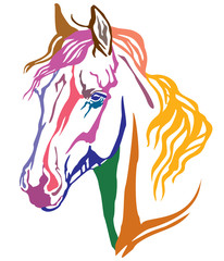 Colorful decorative portrait of Arabian horse vector illustration
