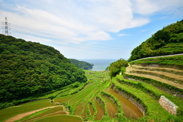 棚田と海　日本の風景