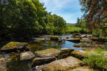 Fototapeta na wymiar Dartmoor, Devon, England