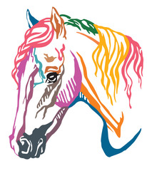 Colorful decorative portrait of Welsh Pony vector illustration