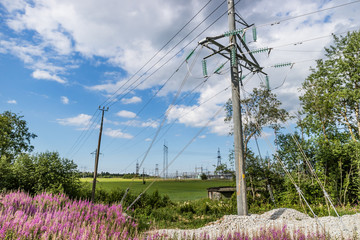 Obraz premium Power line towers and wires in greenery. Sunny day.