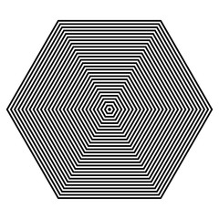 BASIC REGULAR GEOMETRIC. GRAPHIC ELEMENT. PARALLEL LINES WITH HEXAGON