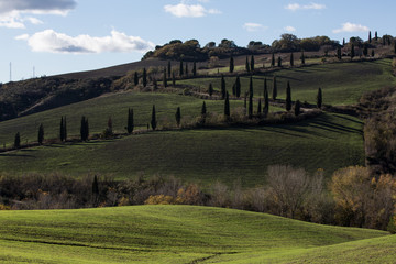 Naklejka premium Tuscany