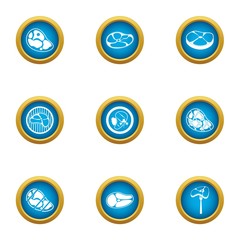 Meat selection icons set. Flat set of 9 meat selection vector icons for web isolated on white background