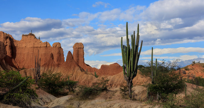 Desierto de la Tatacoa - Tatacoa Desert in Neiva Colombia. Panoramic view with Cactus, Desert Landscape and Blue Sky/White Clouds