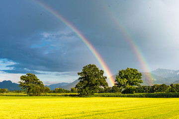 Grüne Wiese mit doppeltem Regenbogen
