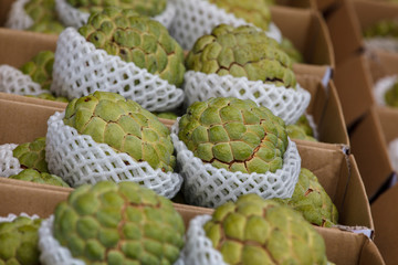 Cherimoya (Also Spelled Chirimoya) Fruit on display at a local market in Taiwan. This delicious fruit is also referred to as Annona in some South American countries.