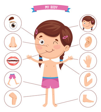19,077 BEST Body Part Cartoon IMAGES, STOCK PHOTOS & VECTORS | Adobe Stock