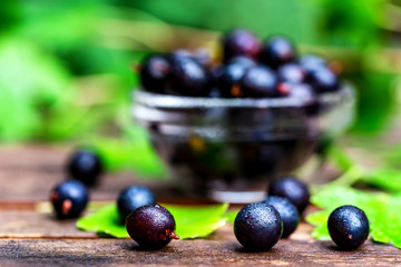 Ripe blackcurrant in glass bowl close