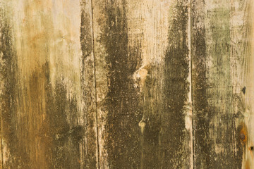 Old Wood Texture/ Wood Texture