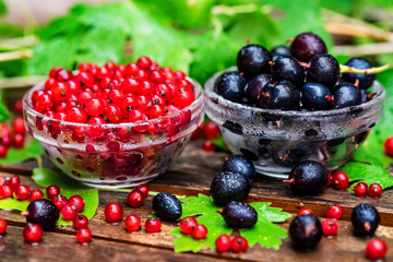 Ripe redcurrant and blackcurrant in glass bowls