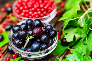 Ripe redcurrant and blackcurrant in glass bowls