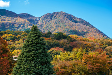 View of the mountains in the Hakone national park, Hakone, Japan. Copy space for text.