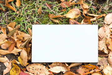 Metal white plate on green grass, Hakone, Japan. Frame for text.