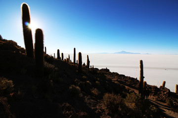 Freiheit Wildnis Salar de Uyuni Bolivien Salzsee Salzlagune Wüste Work and Holyday Travel Agentur Extrem Natur Lebensgefühl 