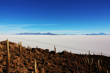 Bolivien Uyuni Salzwüste Salzlagune Reisen Tourismus Lateinamerika Südamerika