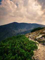 Fototapeta na wymiar Carpathian Mountains summer landscape, Romania, Europe
