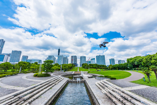 横浜のビル群と公園 High-rise condominium and fresh green in Yokohama