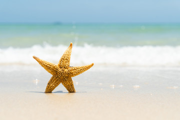 Fototapeta na wymiar Starfish on sand beach, blue sky and soft wave background. summer holiday and vacation concept.