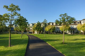 Footpath lined with trees in a park with residential townhouses in distance. Kensington, VIC Australia.