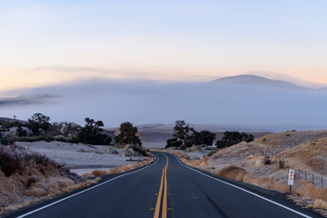 朝霧のかかったアメリカ大陸の曲がりくねった道