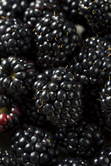 Raw Black Organic Blackberries
