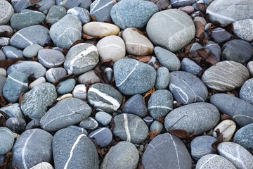 Smooth tumbled beach stones with white stripe inclusions