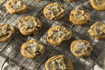 Homemade Sea Salt Chocolate Chip Cookies