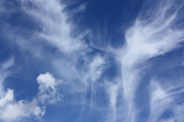 Sky