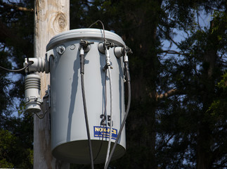 Neighborhood Pole-mounted Electrical Transformer