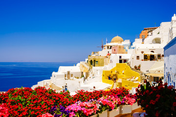 Santorini, Greece. View of traditional cycladic Santorini house with blurry flowers in foreground
