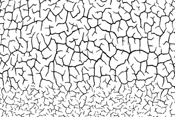 The cracks texture white and black. Vector background.Cracked earth. Structure of cracking. Cracks in dry surface soil texture.
