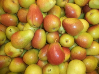 ripe pears varieties trout