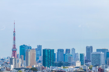東京全景　panoramic view of the capital Tokyo