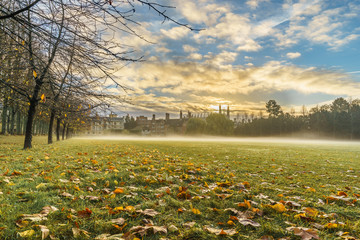Autumn leaves at foggy morning at the gardens of Trinity College in Cambridge, UK