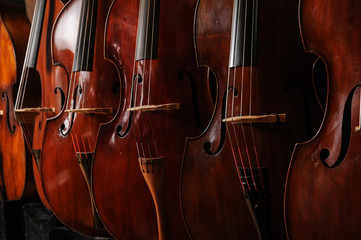 Music Instruments