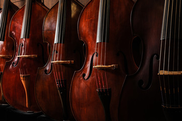 Music Instruments