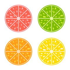 Set of colored isolated apetitic slices of fruit on white background. Juicy, bright, delicious tropical food. Simple flat vector illustration. Suitable for design of packages, postcards, advertising.