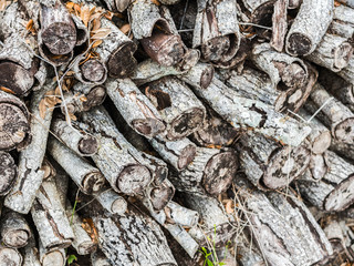 Stack of very old chopped wood with visible signs of deterioration.